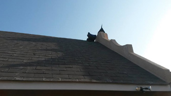 CMD Roofing FB15